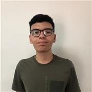 Instructor de Desarrollo de Software y Tecnologías de la Información